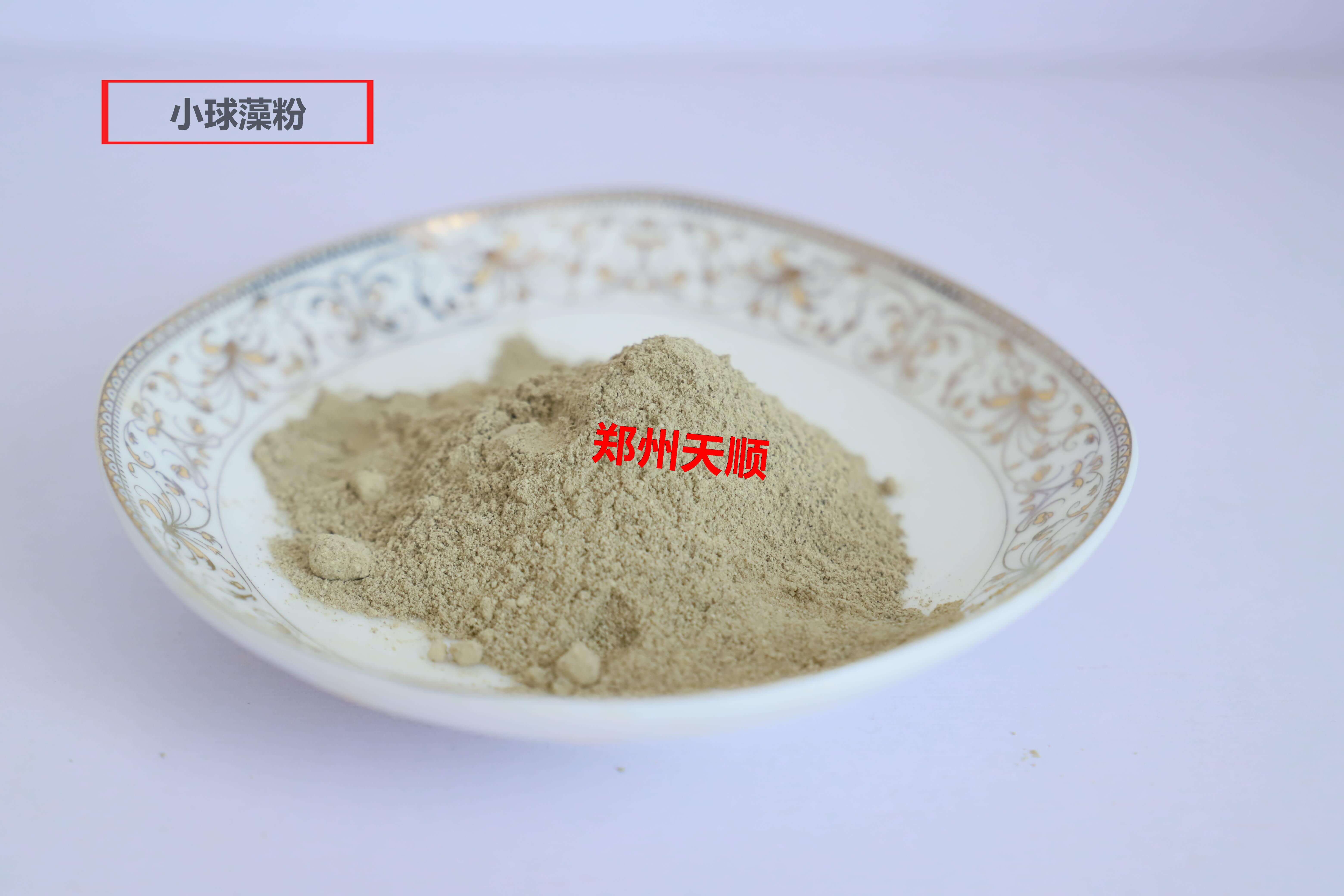 湖南小球藻公司廠(chǎng)家直銷(xiāo)小球藻生產(chǎn)廠(chǎng)家