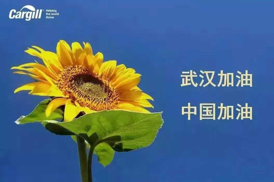 嘉吉（中國）捐增200萬(wàn)元現金及100萬(wàn)元防護物資，支持疫情控制