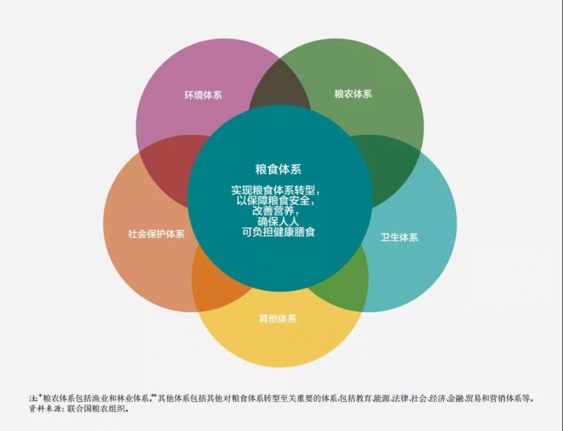 《2021年世界糧食安全和營(yíng)養狀況》中文版全文發(fā)布：疫情肆虐，全球饑餓人數激增