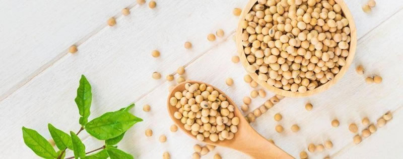 為什么酶解大豆蛋白制備大豆肽口感是苦的？如何解決？