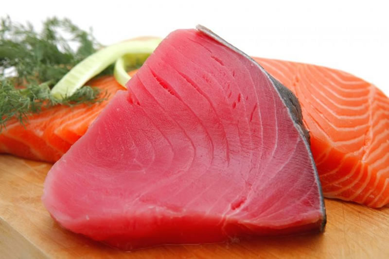 如何酶解金槍魚(yú)提高寵物貓糧誘食劑風(fēng)味性？